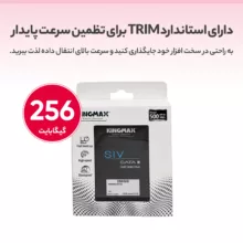 اس اس دی اینترنال کینگ مکس مدل KM256GSIV32 ظرفیت 256 گیگابایت