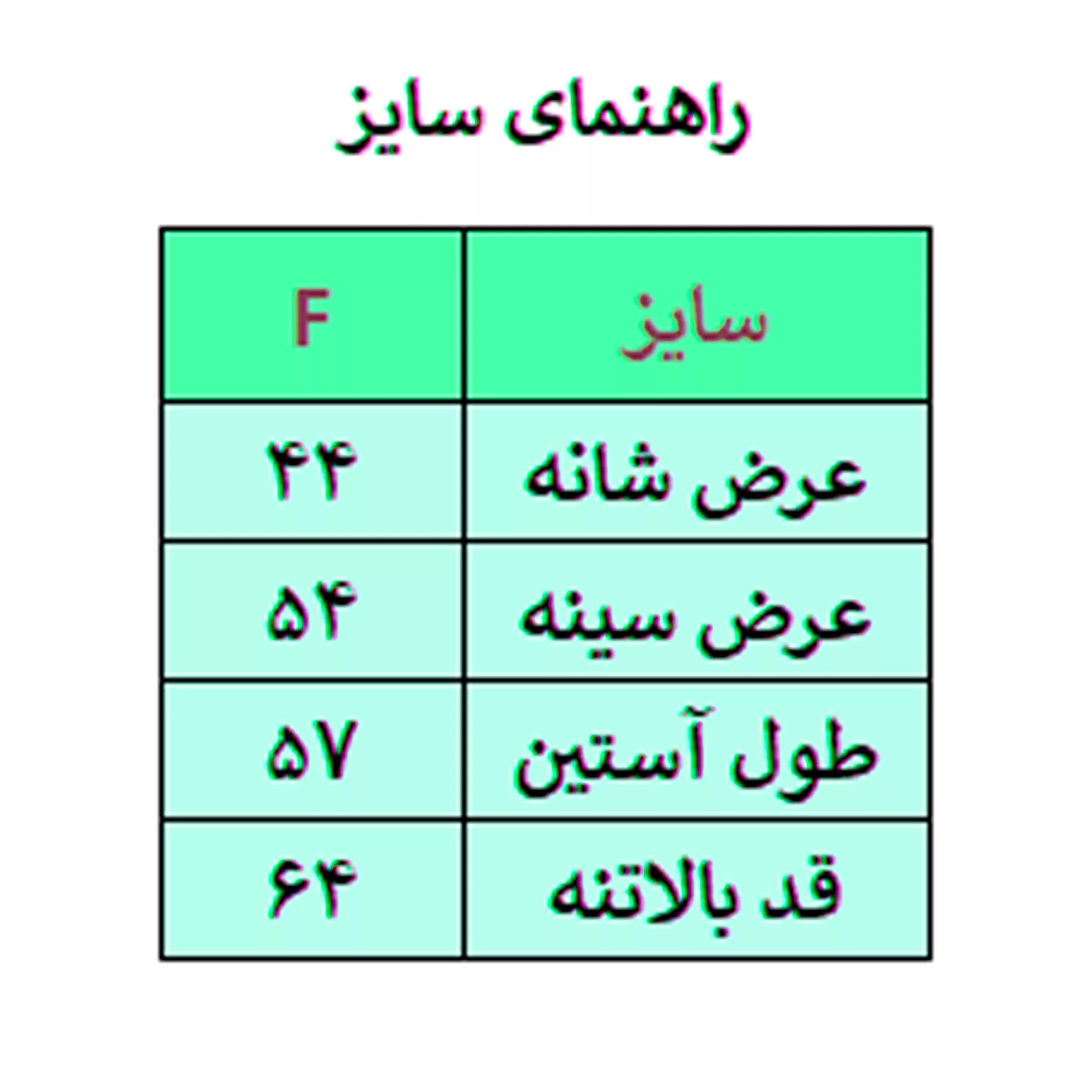 سویشرت زنانه مدل A1006