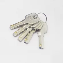 قفل برقی در حیاطی اکو مدل آلفا کد YP-EERL-1/12DC