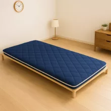 تشک مهمان دستر مدل دوبل سیمپل 1 نفره سایز 95*195 سانتی متر