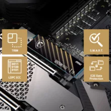 اس اس دی اینترنال PCIe 4.0 ام اس آی مدل SPATIUM M450 PCIe 4.0 NVMe M.2 ظرفیت 500 گیگابایت