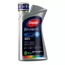 ضدیخ و ضدجوش 100 درصد خالص کاسپین مدل Four Seasons حجم 900 میلی لیتر بسته 4 عددی