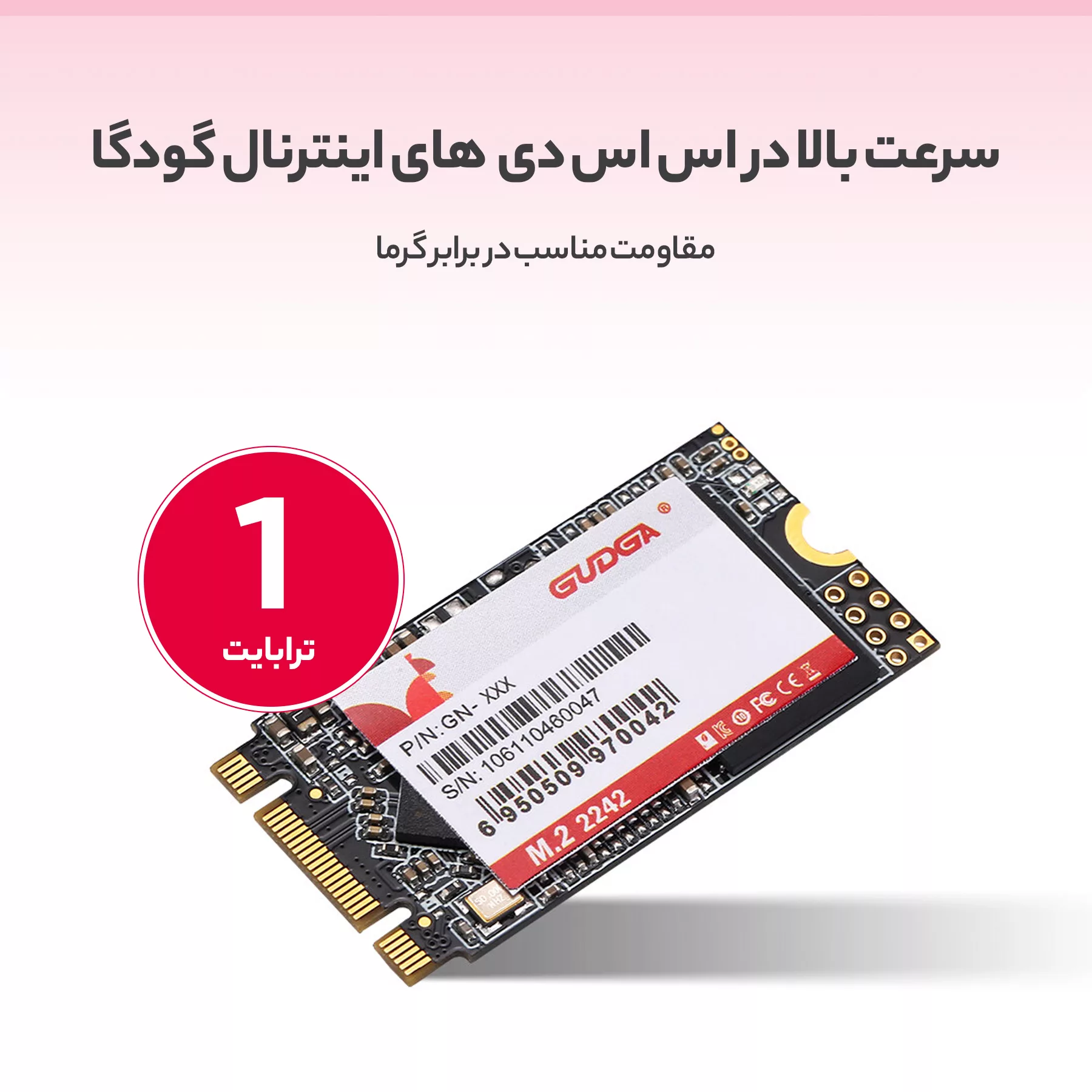 اس اس دی اینترنال گودگا مدل M.2_2242 ظرفیت یک ترابایت