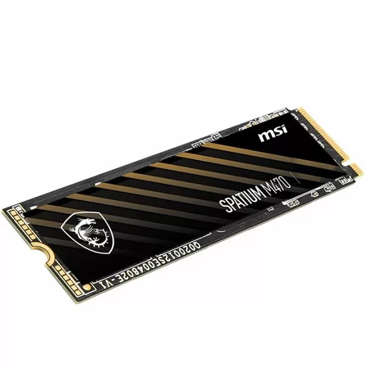 اس اس دی اینترنال PCIe 4.0 ام اس آی مدل M470 Pro ظرفیت دو ترابایت