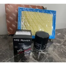 فیلتر روغن ام جی مدل LPW100181 مناسب برای خودرو MG6/550 بهمراه فیلتر هوا