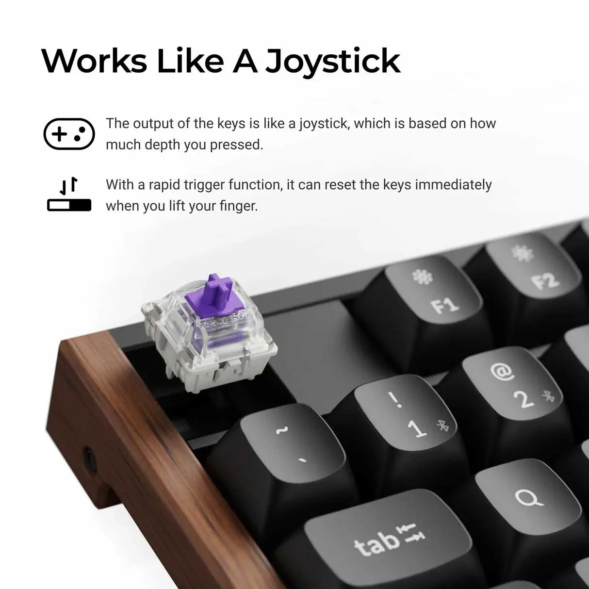 کیبورد گیمینگ کیکورن مدل K10 HE Magnetic Switch Custom