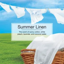 خوشبوکننده خودرو لیتل تریس مدل VENTLIQUID کد Summer Linen