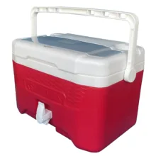 یخدان سفری گنجایش 22 لیتری کیش ترموس کی تی مدل CB22