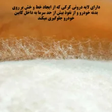 چادر خودرو ساکا مدل Prime مناسب برای ام وی ام 110