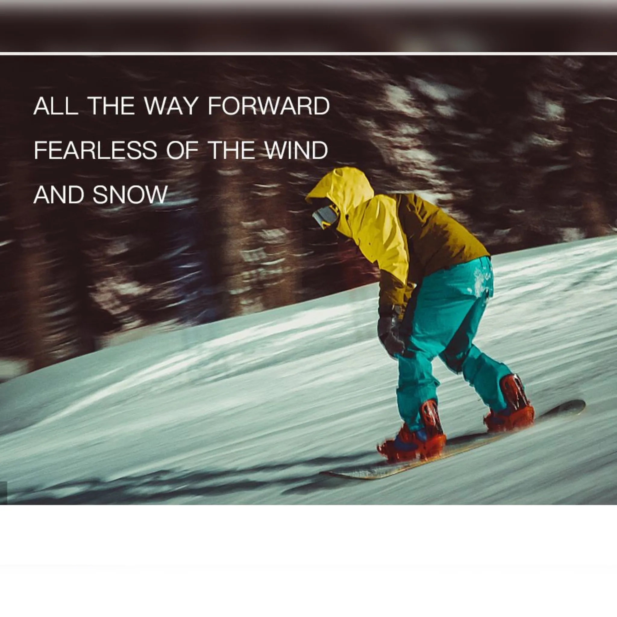 دستکش اسکی مدل گورتکس ضد آب کد 0081