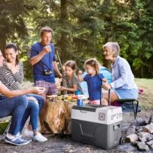 یخچال و فریزر الپی کول مدل cx50