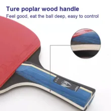 راکت پینگ پنگ لوکی مدل kirin star3