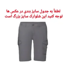 شلوارک مردانه مدل Li 19786495 رنگ طوسی