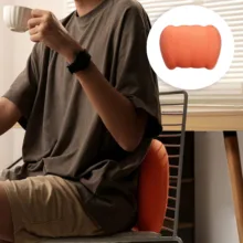 پشتی صندلی خودرو باسئوس مدل BS-CZ009