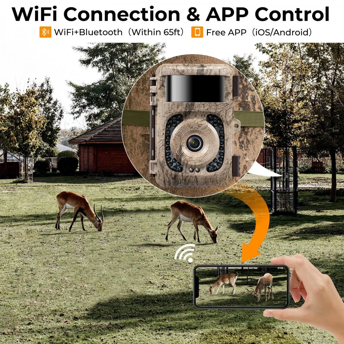 دوربین تله ای شکاری کی اند اف مدل 32MP WiFi