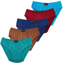 شورت مردانه پوشاک ناطقیان مدل نخ پنبه کد 01 مجموعه 5 عددی