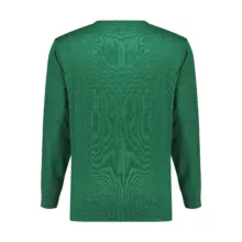 پلیور یقه هفت مردانه مدل D77957583