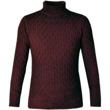 پلیور مردانه مدل یقه اسکی کد TN092