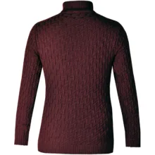 پلیور مردانه مدل یقه اسکی کد TN092