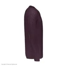 پلیور مردانه تریکو پاییزان کد P700