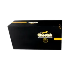 دزدگیر خودرو چیتا مدل BT-9