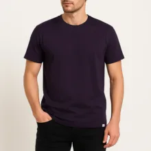 تی شرت آستین کوتاه مردانه باینت مدل 373-25 رنگ بادمجانی