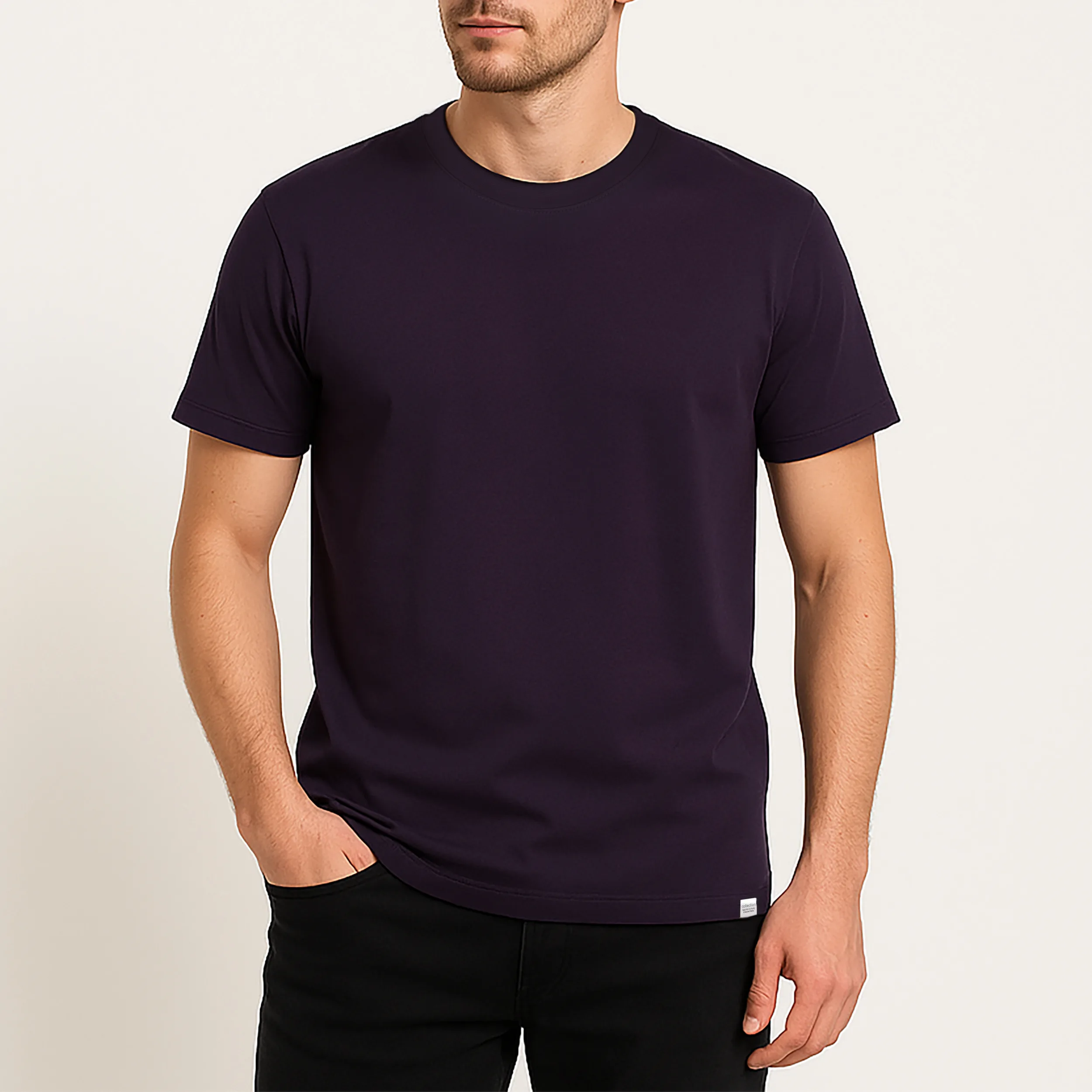 تی شرت آستین کوتاه مردانه باینت مدل 373-25 رنگ بادمجانی