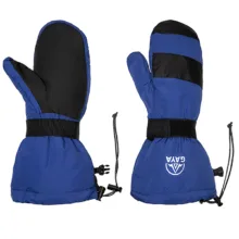 دستکش اسکی قایا مدل دو پوش الیاف آنیل کد 00M1