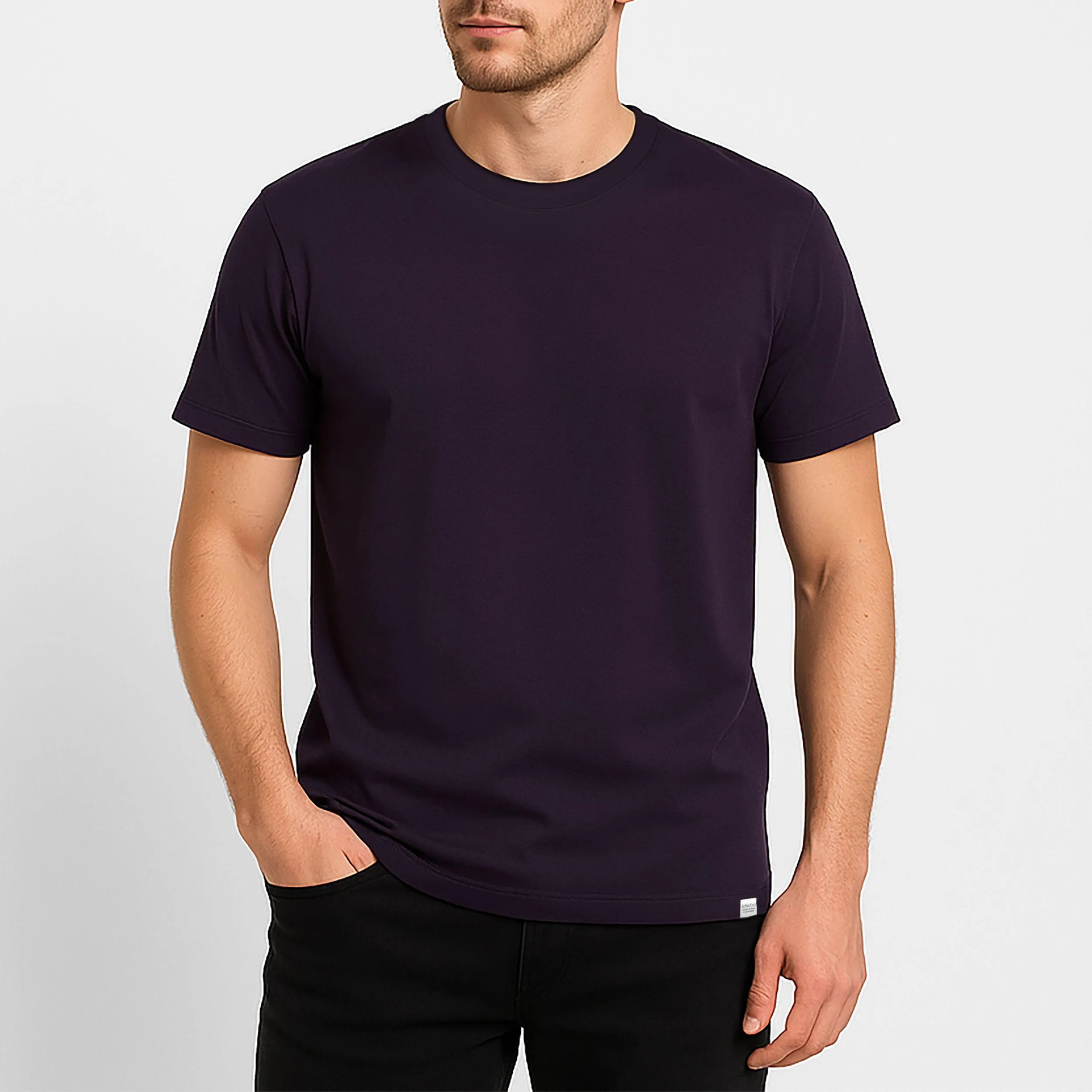 تی شرت آستین کوتاه مردانه باینت مدل 373-25 رنگ بادمجانی