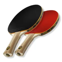 راکت پینگ پنگ استیگا مدل V.M 24 مجموعه دو عددی