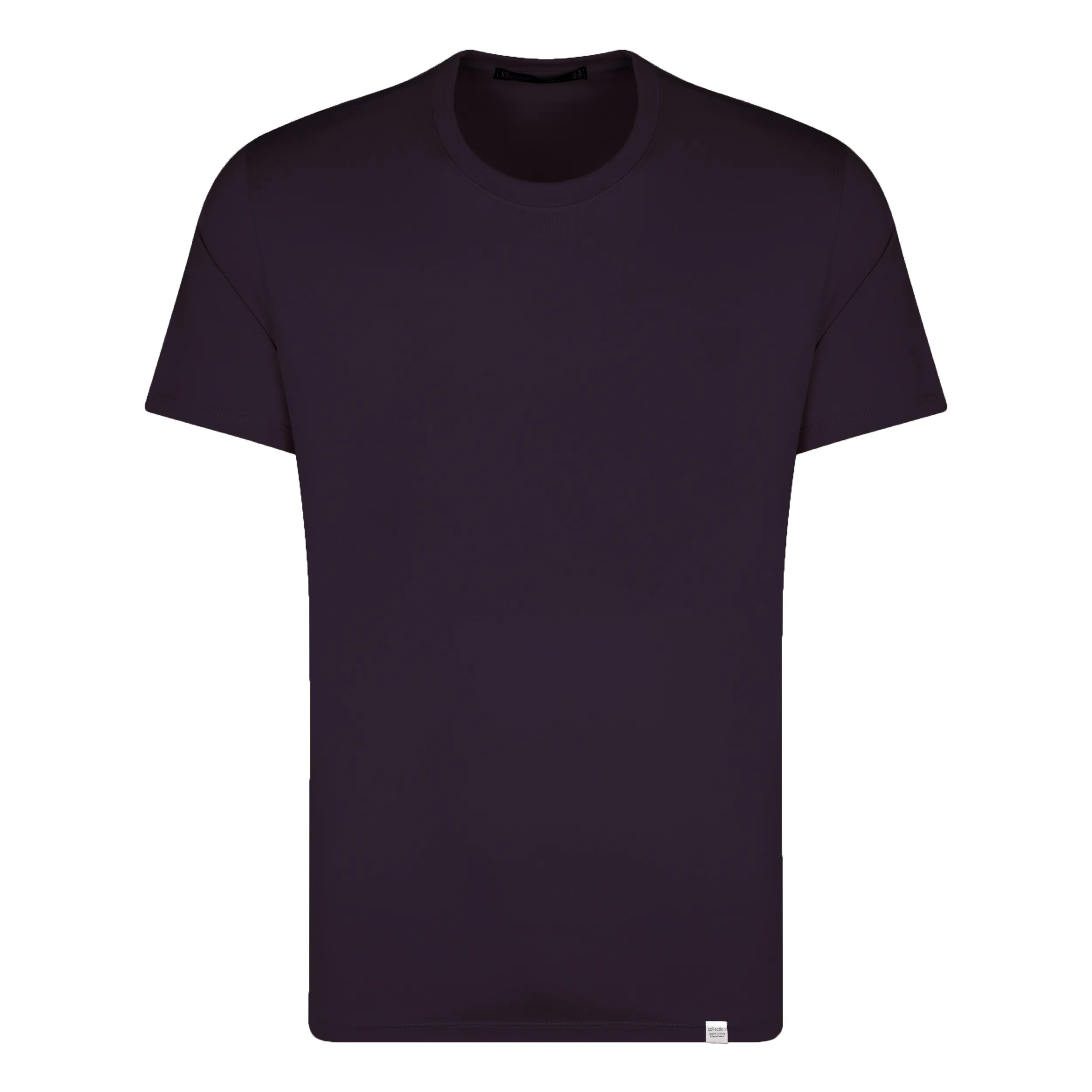 تی شرت آستین کوتاه مردانه باینت مدل 373-25 رنگ بادمجانی