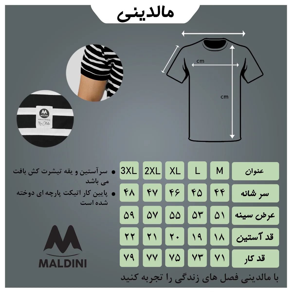 تی شرت آستین کوتاه مردانه مالدینی مدل t-427