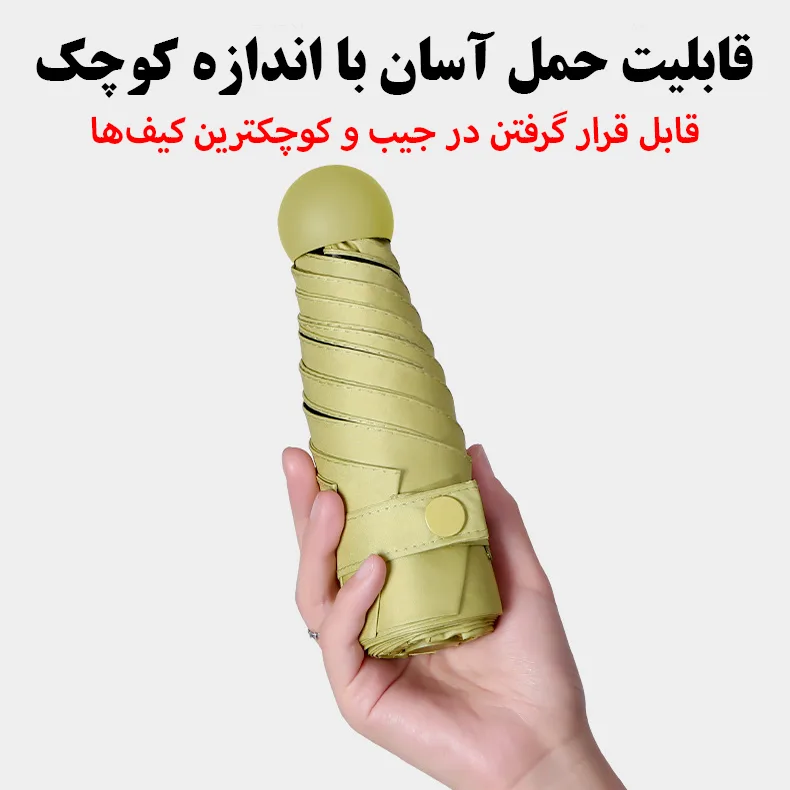 چتر گلد ایر مدل جیبی کیف دار کد Round6