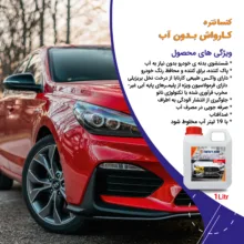 کنسانتره کارواش بدون آب تام کلین مدل TC-DB1000Y61 حجم 1 لیتر
