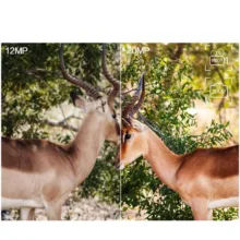 دوربین تله ای شکاری مدل HC-300M