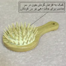 ست شانه و برس کودک مدل چوبی کد 1009 مجموعه 3 عددی