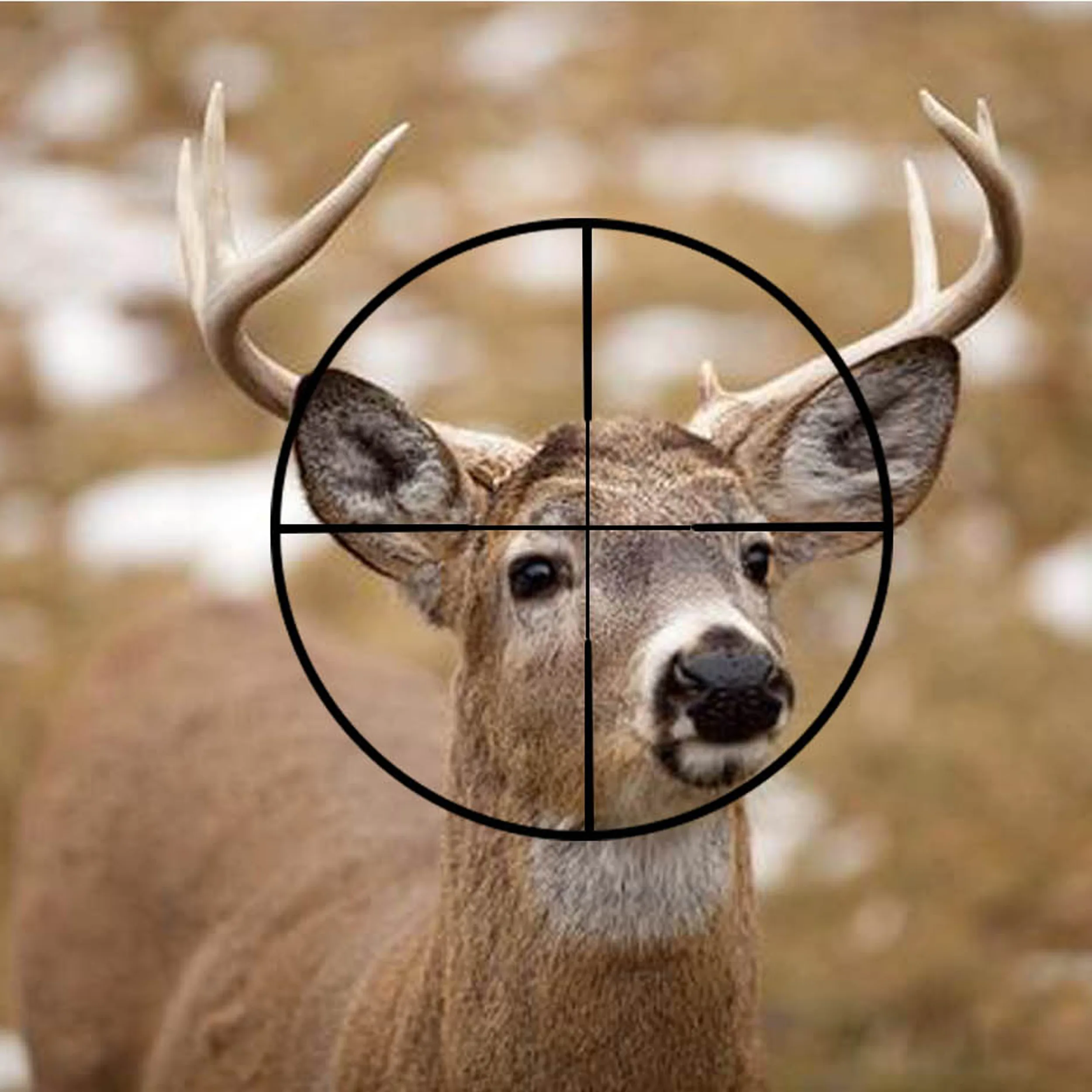 دوربین تفنگ بوشنل مدل 4X28