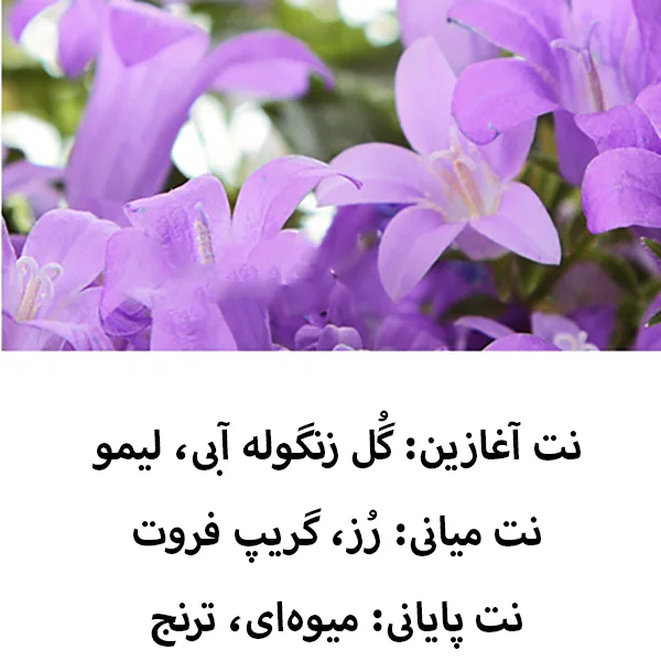 خوشبو کننده خورشیدی خودرو مدل هواپیما ملخی کد F36