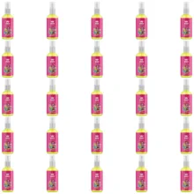 اسپری خوشبو کننده خودرو هوگو مدل آدامس کد 006 حجم 50 میلی لیتر بسته 25 عددی