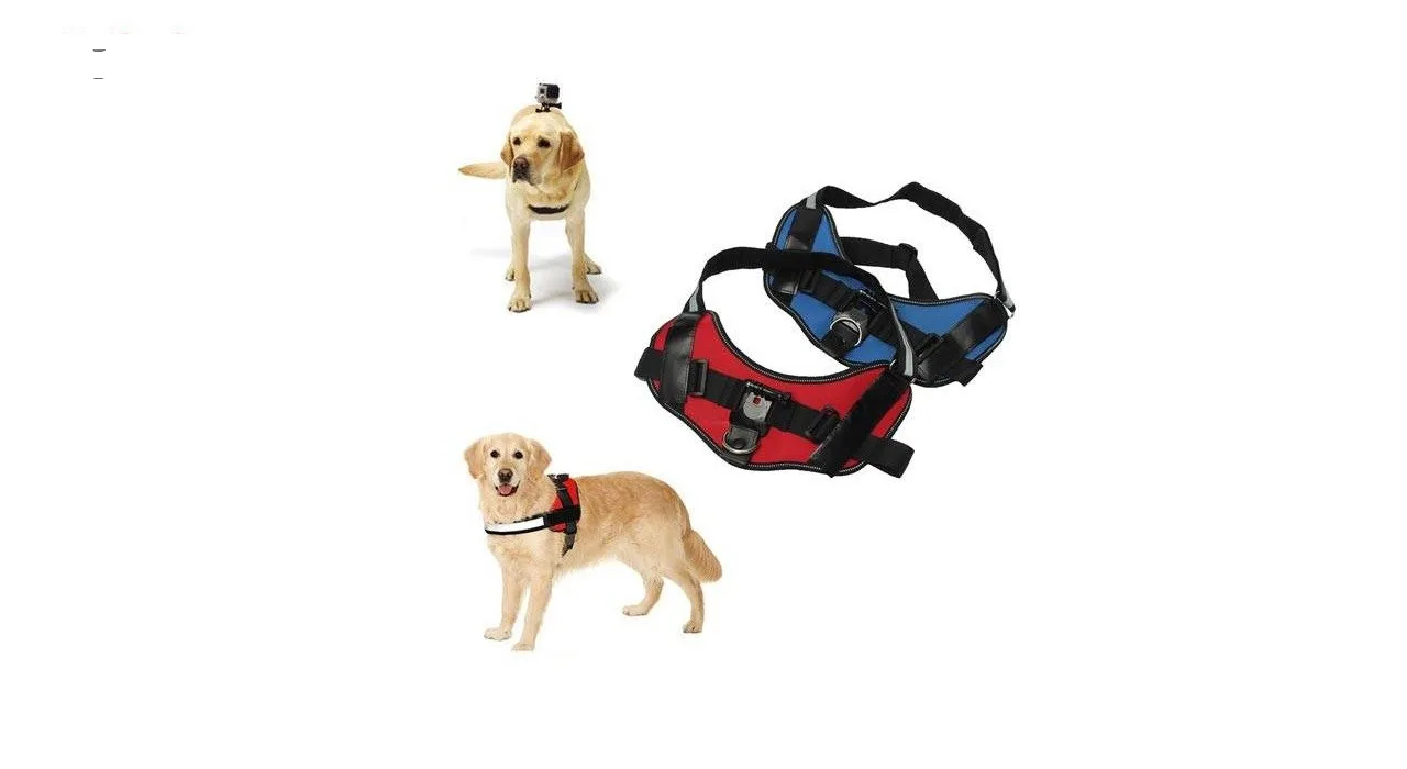 پایه نگهدارنده مدل Dog harness مناسب برای دوربین های ورزشی