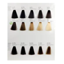 رنگ مو فشینلی سری Natural مدل قهوه اي زيتوني تيره شماره 6.0