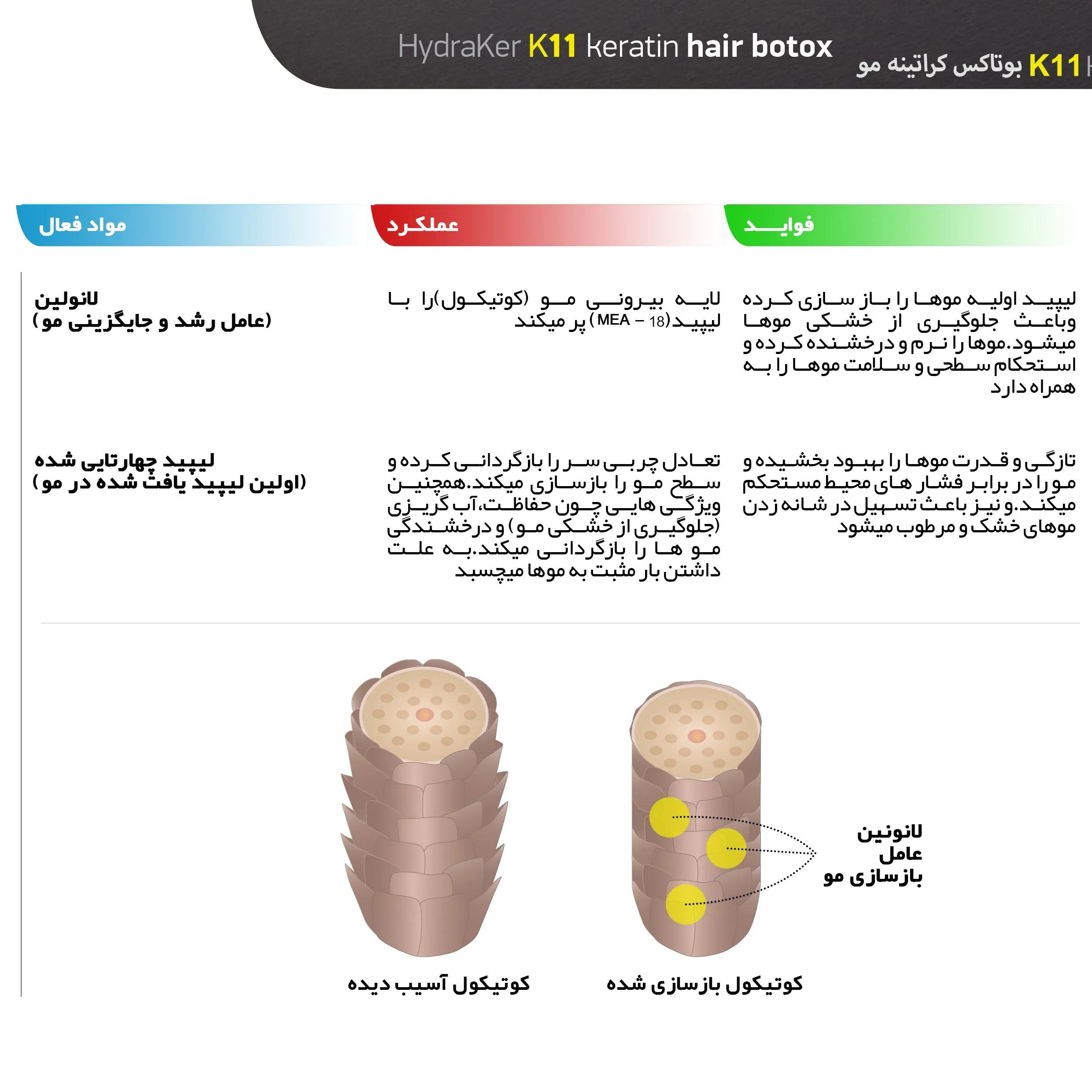 بوتاکس کراتین مو ارایبا مدل k11 حجم 120 میلی لیتر
