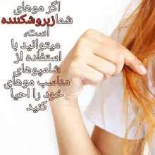 شامپو مو دوفاری مدل آمونیاک و سولفات فری حجم 1000 میلی لیتر