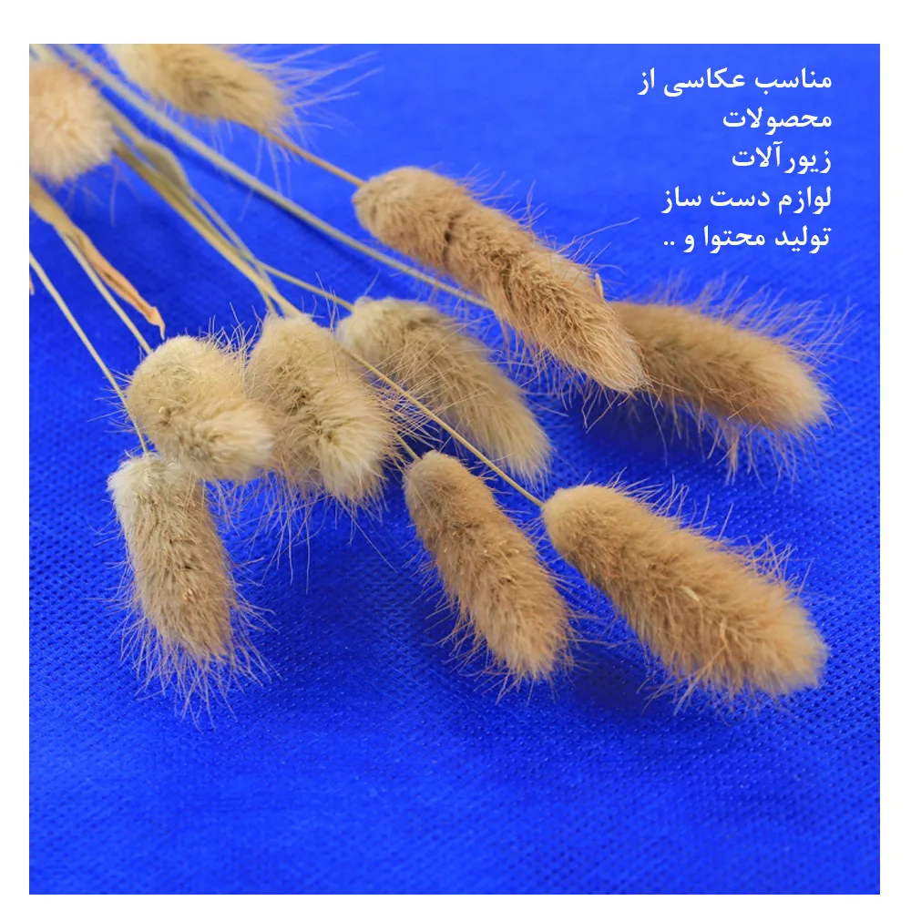 فون عکاسی پلوز مدل Collapsible مجموعه 6 عددی