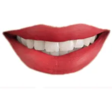 رژ لب جامد فان فیس شماره V 210