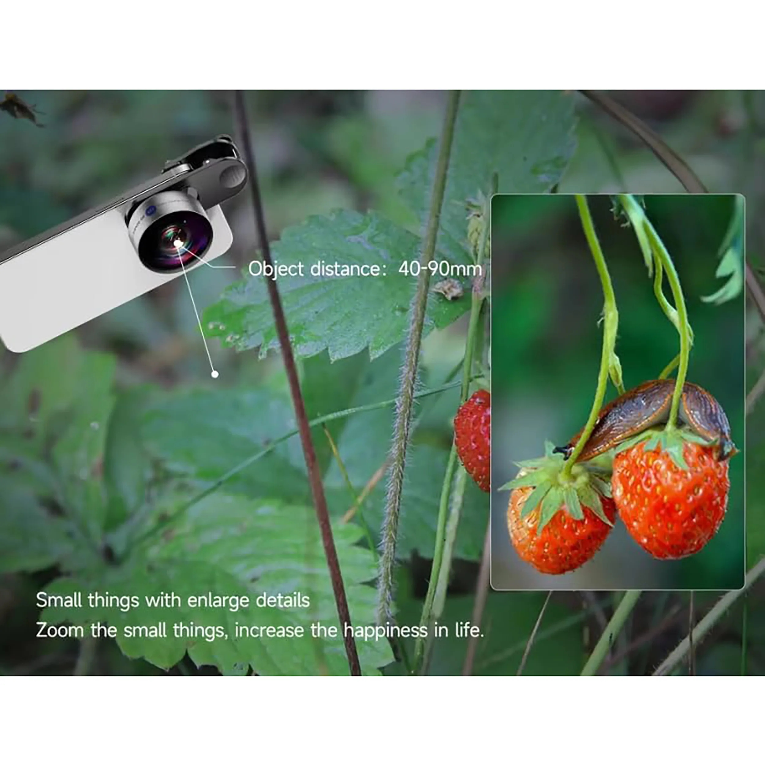 لنز دوربین مارتویسن مدل MASTER-GRADE PHONE MACRO LENZ 32X (40-90MM PRO) مخصوص دوربین شرکت  سامسونگ، پاناسونیک، فوجی فیلم، نیکون، کانن، سونی، دی‌جی‌آی، اینستا360