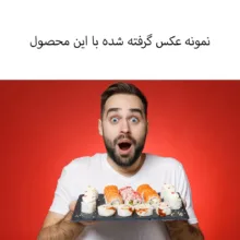 فون عکاسی کروماکی لند مدل 250-300