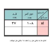 شلوارک ورزشی زنانه آل این موشن مدل 85414