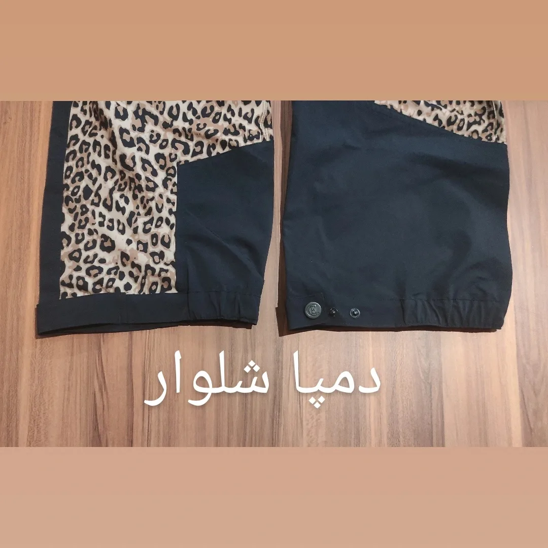 شلوار کوهنوردی زنانه سیلبس مدل 2024