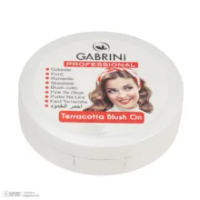 رژ گونه براق کابرینی مدل TERRACOTTA شماره 33